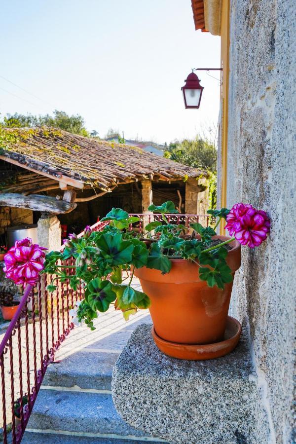 Гостевой дом Casa Do Ribeiro Lago  Экстерьер фото