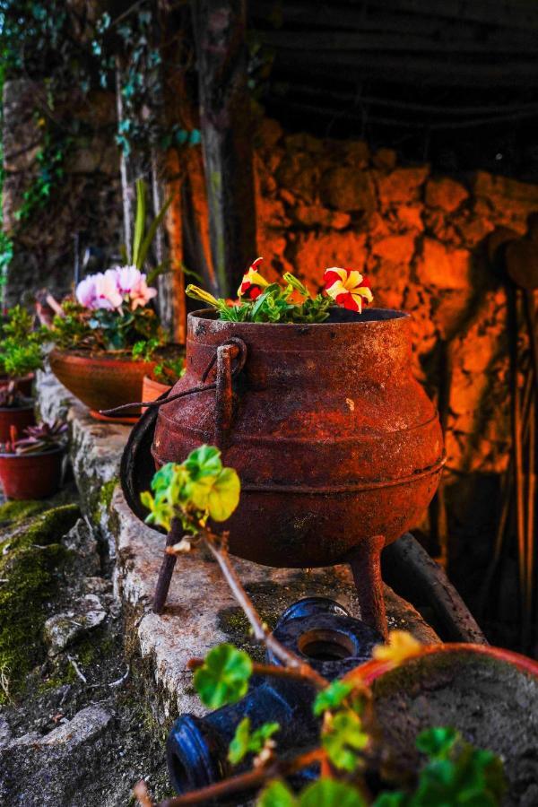 Гостевой дом Casa Do Ribeiro Lago  Экстерьер фото